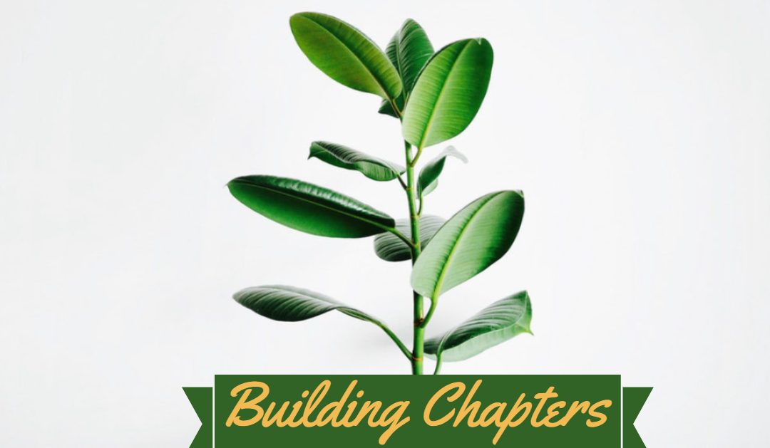 Building Chapters (Part 1)