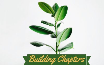 Building Chapters (Part 1)