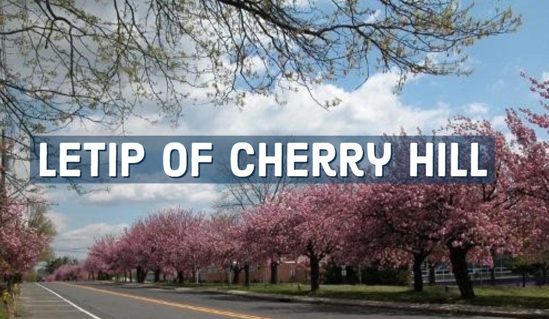 LeTip of Cherry Hill, NJ